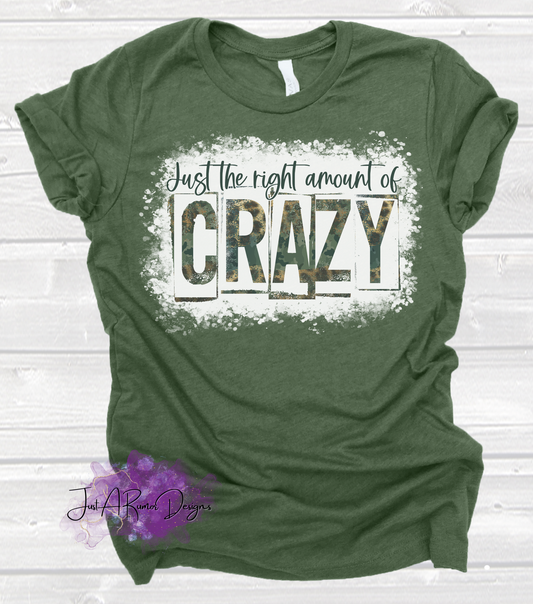 Right Amount of Crazy Shirt